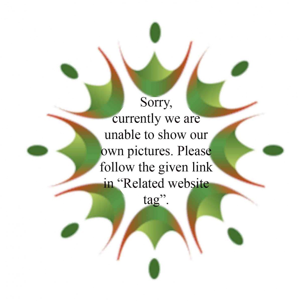 Calamus digitatus Becc.